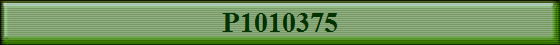 P1010375