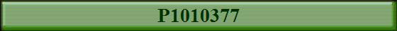 P1010377