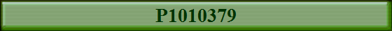 P1010379