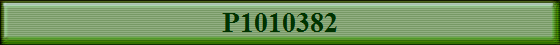 P1010382