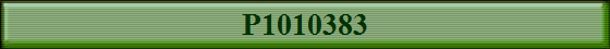 P1010383