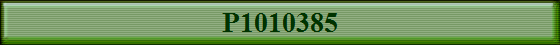 P1010385
