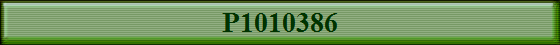 P1010386