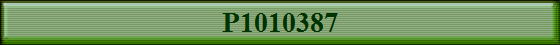 P1010387