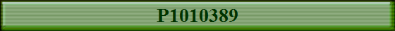 P1010389