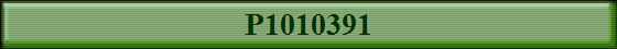 P1010391