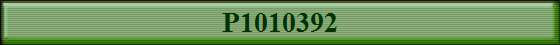 P1010392