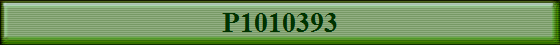P1010393