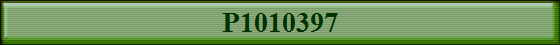 P1010397