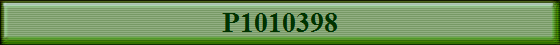 P1010398