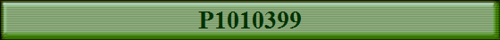 P1010399