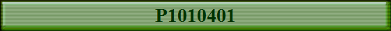P1010401