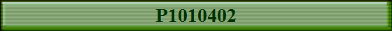 P1010402