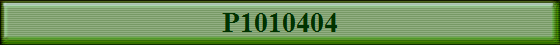 P1010404