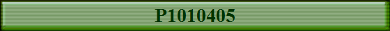 P1010405