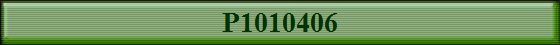 P1010406