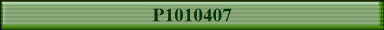 P1010407