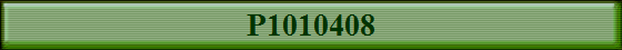 P1010408