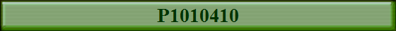 P1010410