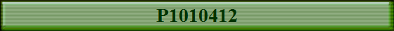 P1010412
