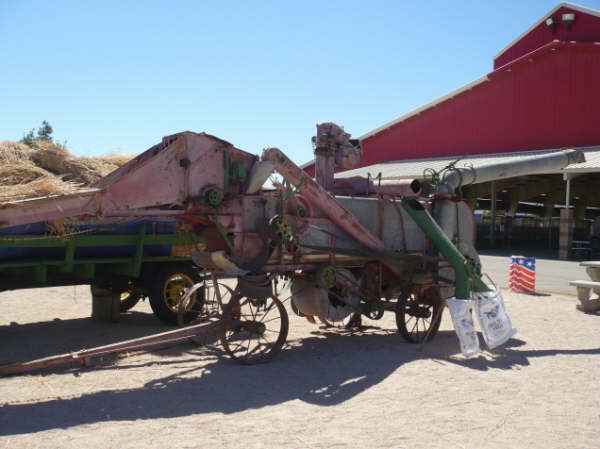 P1010561a